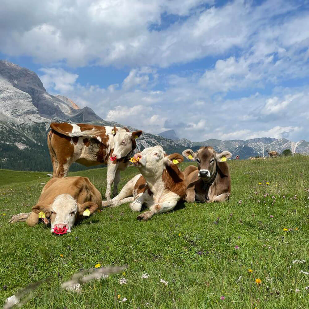 Wanderurlaub in Südtirol