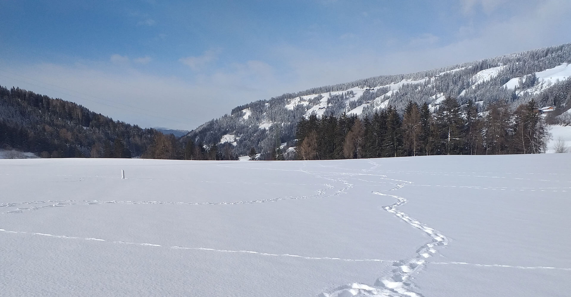 Winterurlaub auf dem Bauernhof im Pustertal / Südtirol - Schusterhof in Ried/Welsberg